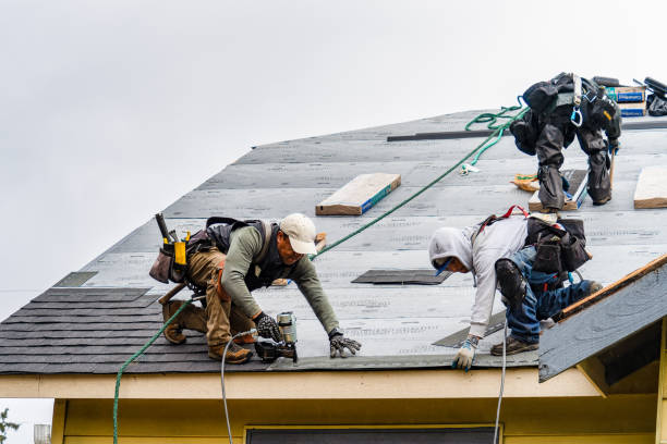 Professional Roofing technician working in New Glarus, WI